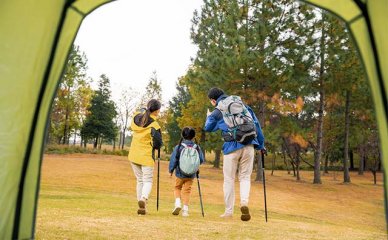 南京雨花台区比较靠谱日本留学1+4本科培训机构名单出炉〔精选机构一览〕