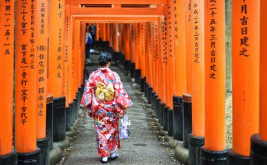 注册会计师最多考几年(注册会计师最长能考几年)