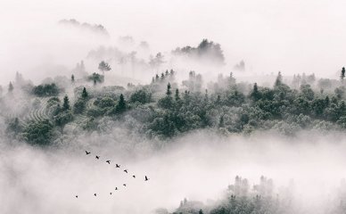 新东方考研**冲刺天津(天津最好的考研培训机构排名)