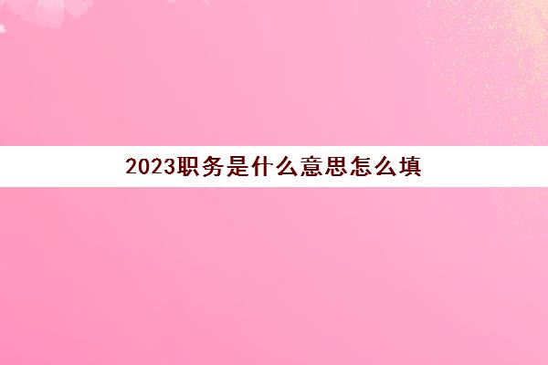 2023职务是什么意思怎么填(职务是什么意思)