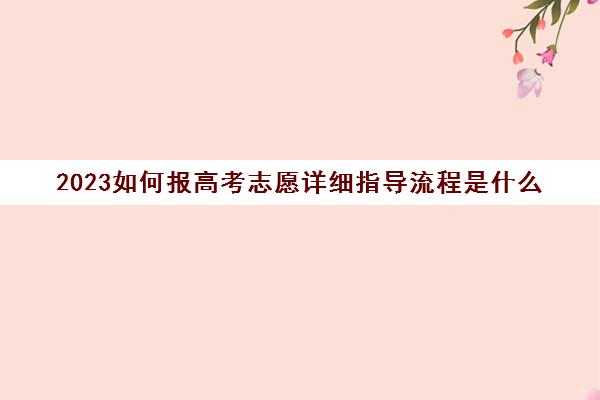 2023如何报高考志愿详细指导流程是什么(21年高考志愿填报流程)