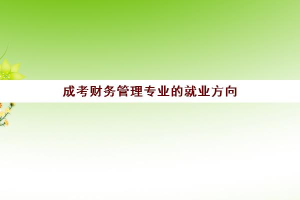 成考财务管理专业的就业方向(成人考财务管理需要什么条件)