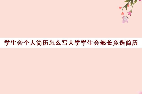 学生会个人简历怎么写大学学生会部长竞选简历(学生会部长竞选个人简介怎么写)