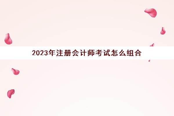 2023年注册会计师考试怎么组合(2020年注册会计师各科目考试安排)