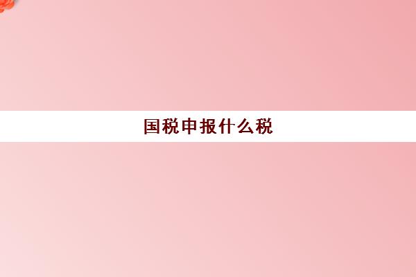 国税申报什么税(什么是国税申报表)