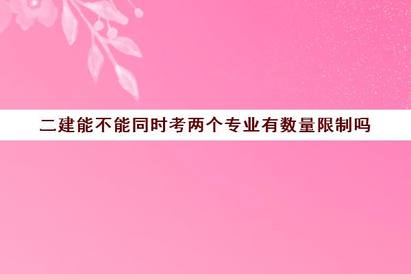 二建能不能同时考两个专业有数量限制吗