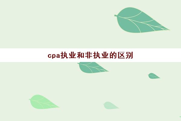 cpa执业和非执业的区别 非执业cpa可以干什么