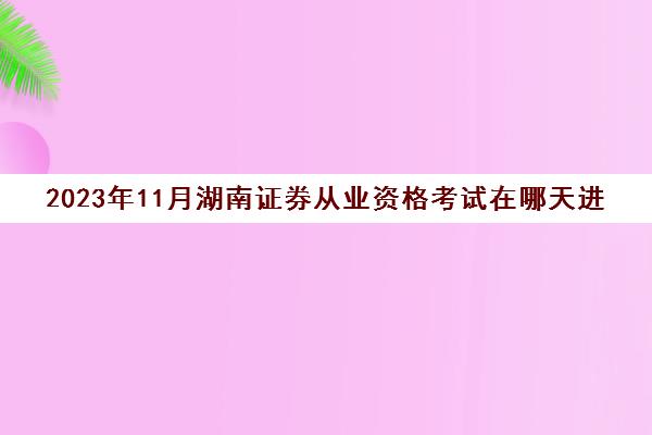 2023年11月湖南证券从业资格考试在哪天进行(湖南2021证券从业资格考试报名时间)