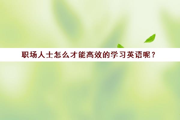 职场人士怎么才能高效的学习英语呢？(职场英语快速提高方法)