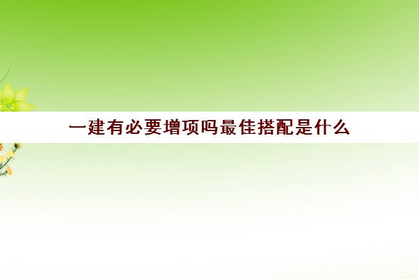 一建有必要增项吗最佳搭配是什么