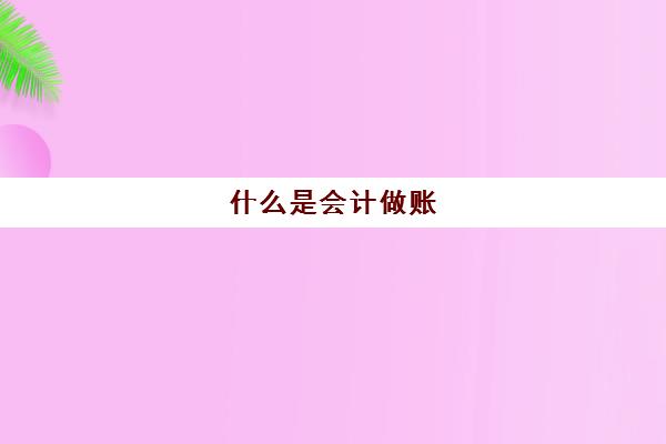 什么是会计做账(什么是会计做账凭证)