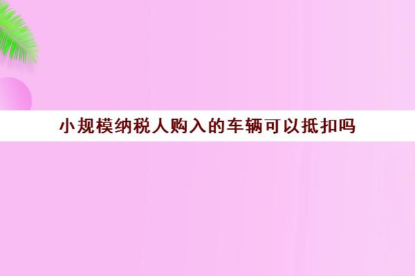 小规模纳税人购入的车辆可以抵扣吗(小规模纳税人购买车辆可以抵扣增值税吗)