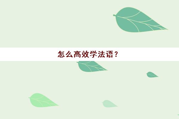 怎么高效学法语？(怎样学法语简单好学)