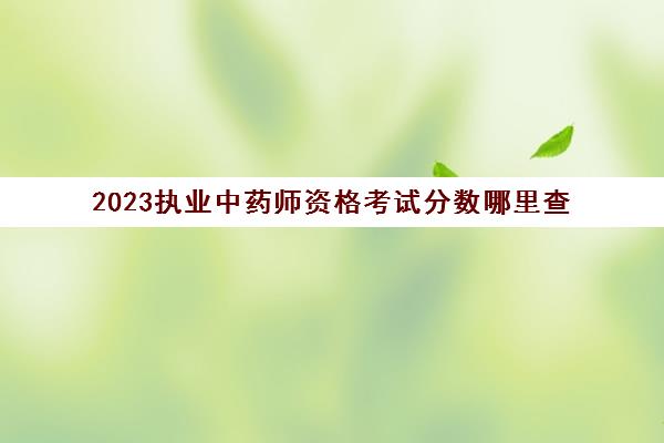 2023执业中药师资格考试分数哪里查(执业中药师考试成绩公布时间)