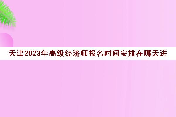 天津2023年高级经济师报名时间安排在哪天进行(天津高级经济师考试科目)