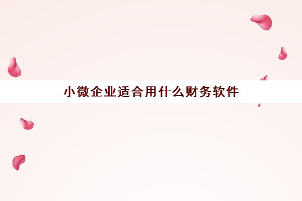 小微企业适合用什么财务软件(小微企业一般用什么财务系统)