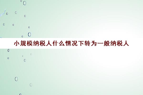 小规模纳税人什么情况下转为一般纳税人(什么情况下小规模纳税人会变为一般纳税人税率)