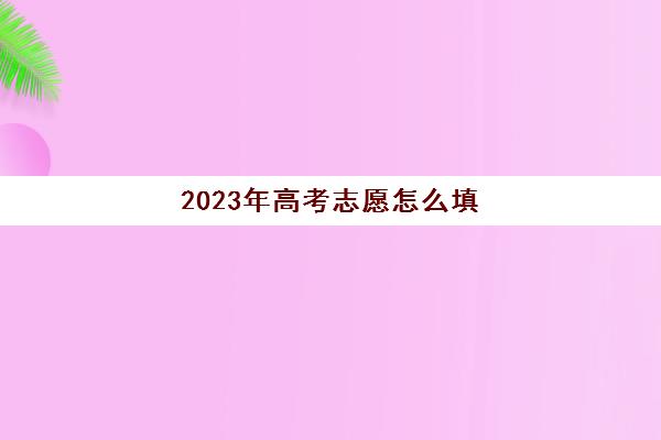 2023年高考志愿怎么填(2023年高考志愿怎么填)