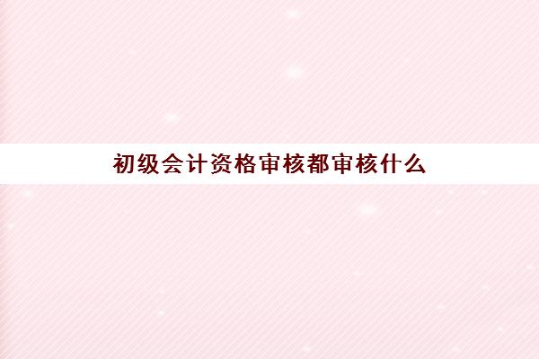 初级会计资格审核都审核什么(初级会计资格审核都审核什么呢)