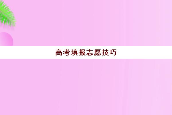 高考填报志愿技巧(上海高考填报志愿技巧)