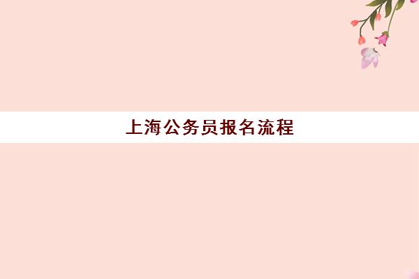 上海公务员报名流程(上海公务员公示后流程)