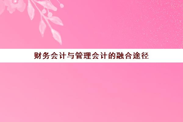 财务会计与管理会计的融合途径(会计与财务管理的共同点和区别)