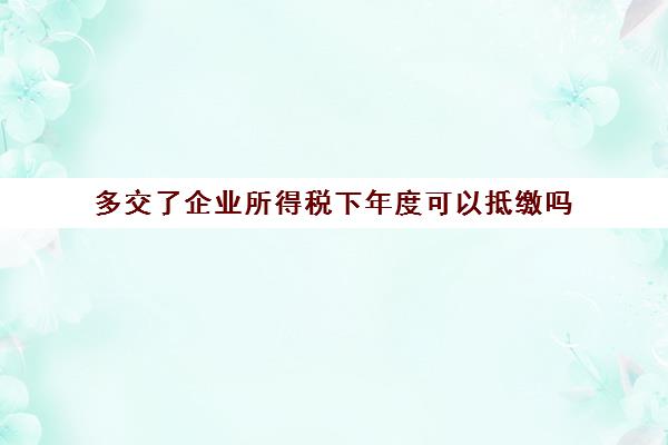 多交了企业所得税下年度可以抵缴吗