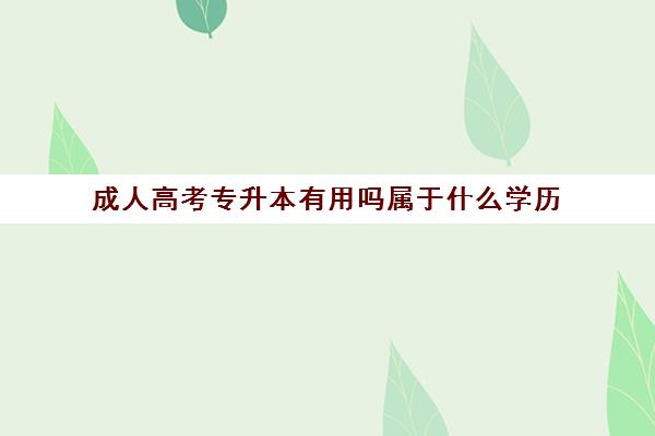 成人高考专升本有用吗属于什么学历(成人高考专升本有用吗属于什么学历)