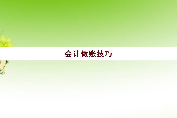 会计做账技巧(会计做账技巧和方法)