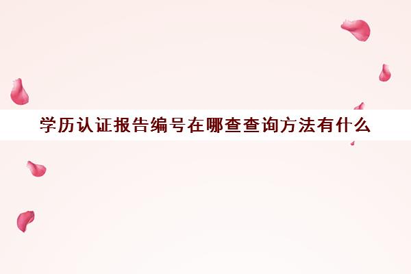 学历认证报告编号在哪查查询方法有什么(学历认证报告编号怎么看)