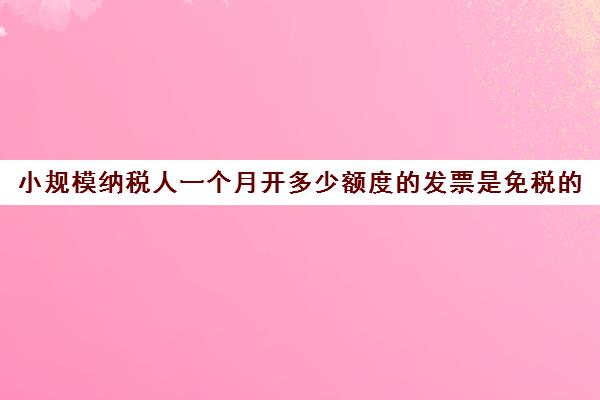 小规模纳税人一个月开多少额度的发票是免税的