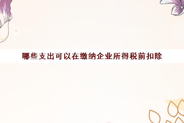 哪些支出可以在缴纳企业所得税前扣除(哪些费用可以在所得税前扣除)