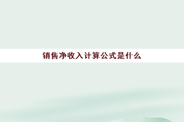 销售净收入计算公式是什么(销售净收入怎么算举例说明)