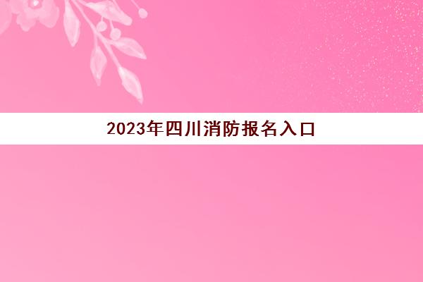 2023年四川消防报名入口