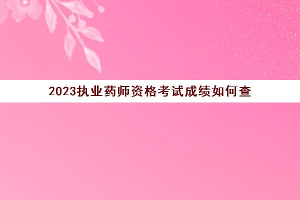 2023执业药师资格考试成绩如何查(2023执业药师资格考试成绩如何查看)