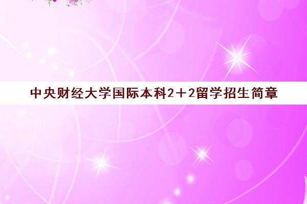 中央财经大学国际本科2＋2留学招生简章(中央财经大学2十2国际班录取查询)