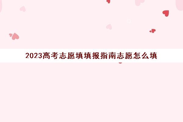 2023高考志愿填填报指南志愿怎么填(202年高考志愿填报)