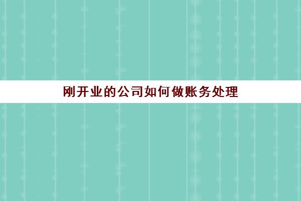 刚开业的公司如何做账务处理(刚开业的公司怎么做账)