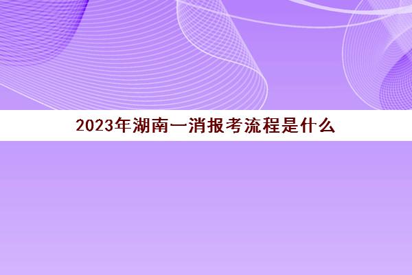 2023年湖南一消报考流程是什么(2020年湖南一消审核了吗)
