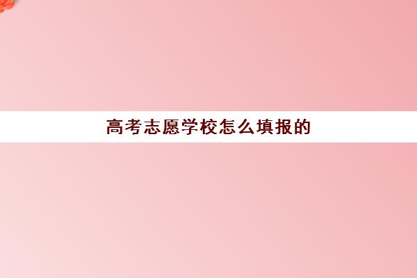 高考志愿学校怎么填报的