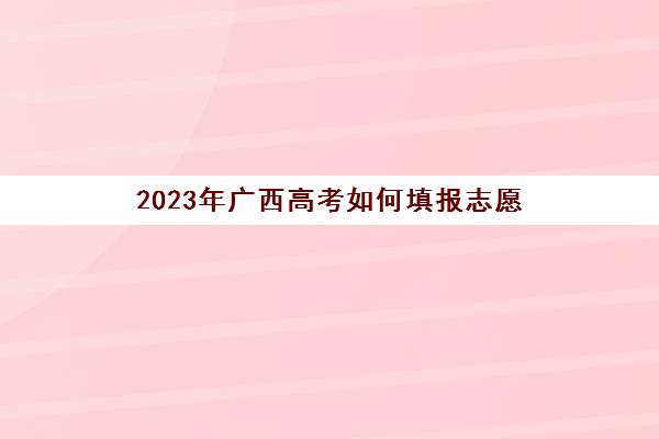 2023年广西高考如何填报志愿