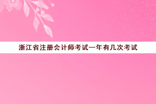 浙江省注册会计师考试一年有几次考试