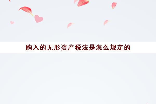 购入的无形资产税法是怎么规定的(购入无形资产相关税费计入什么科目)