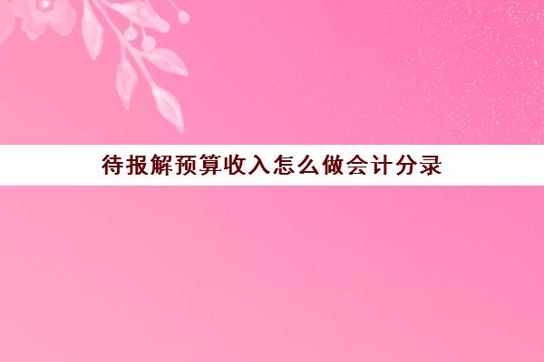 待报解预算收入怎么做会计分录