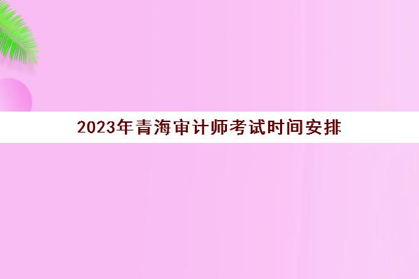 2023年青海审计师考试时间安排(青海省2021年注册会计师年检)