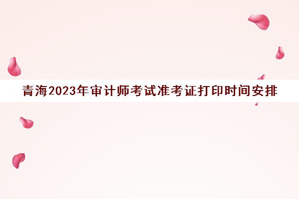 青海2023年审计师考试准考证打印时间安排(2021年审计师准考证打印时间)