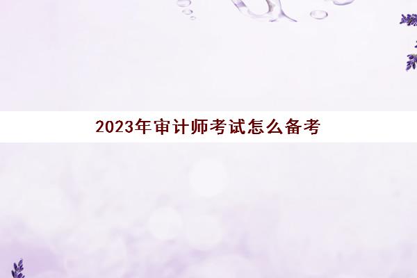 2023年审计师考试怎么备考(2022年审计师考试时间)