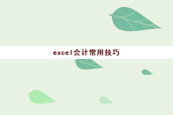 excel会计常用技巧(会计excel表格的基本操作)