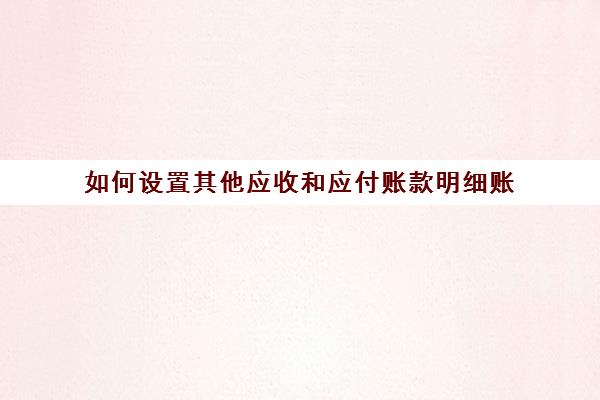 如何设置其他应收和应付账款明细账(其他应收款怎么设置明细科目)