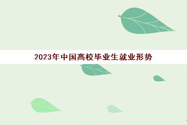 2023年中国高校毕业生就业形势(2023年中国高校毕业生就业形势分析报告)